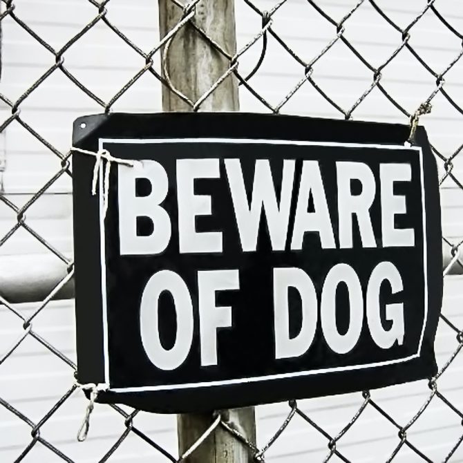 Idaho Dog Bite Attorney - Dog Bite Injury Lawyer Boise