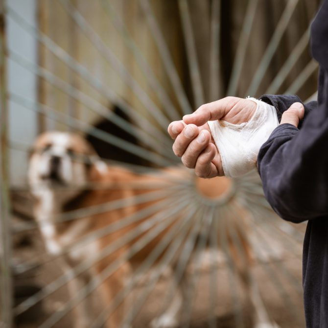 property owner liability dog bite