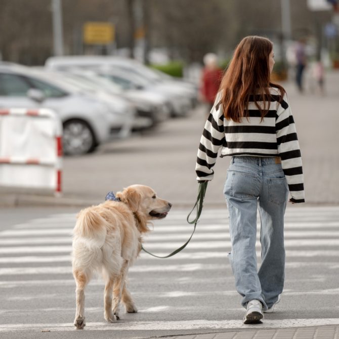 pedestrian accident lawyer Boise