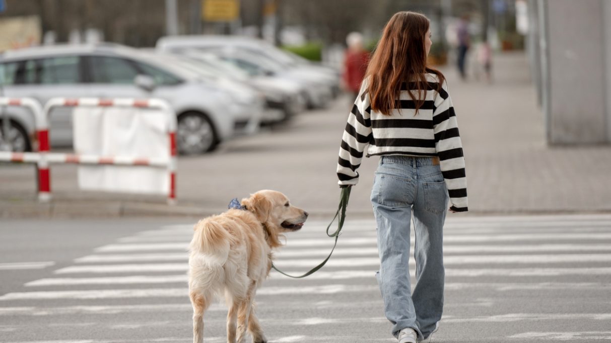 pedestrian accident lawyer Boise